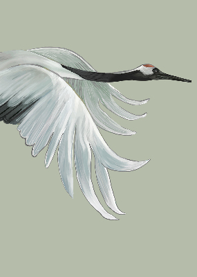 Modern roller blind Crane in flight