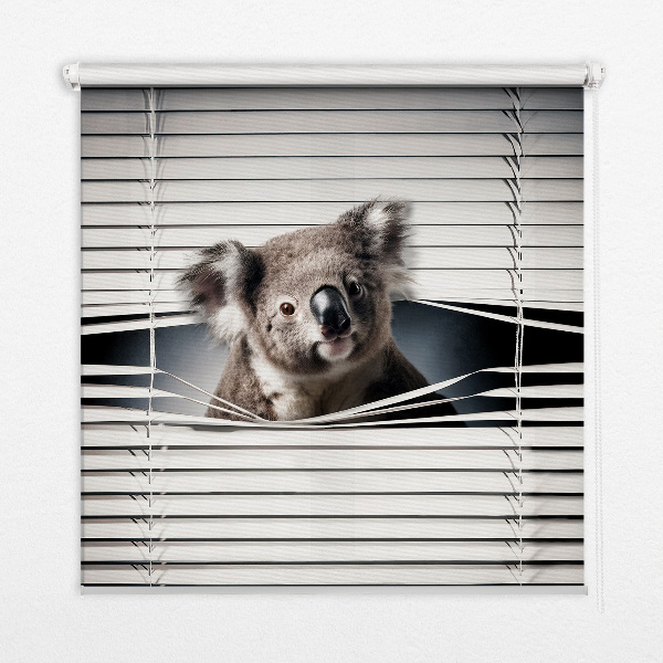 Fabric roller blind Koala