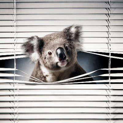 Fabric roller blind Koala