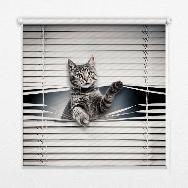 Modern roller blind Cat