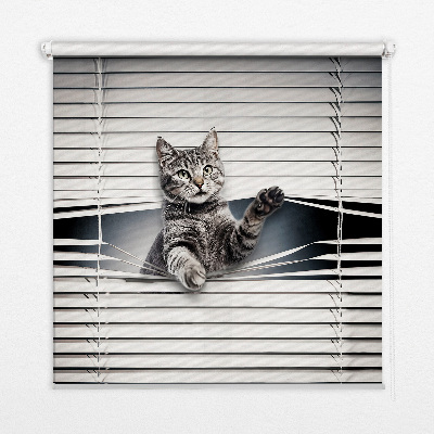 Modern roller blind Cat