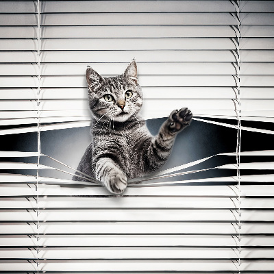 Modern roller blind Cat