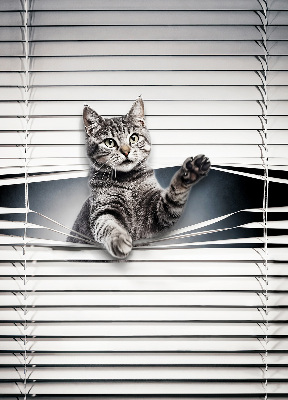 Modern roller blind Cat