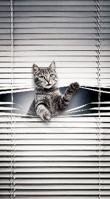 Modern roller blind Cat