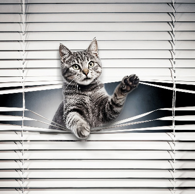 Modern roller blind Cat