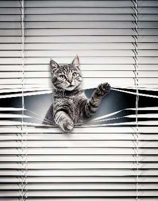 Modern roller blind Cat
