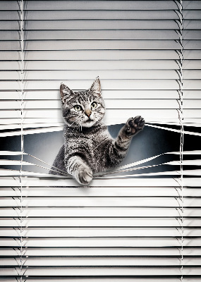 Modern roller blind Cat