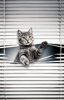 Modern roller blind Cat
