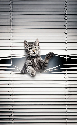 Modern roller blind Cat