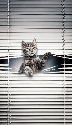 Modern roller blind Cat