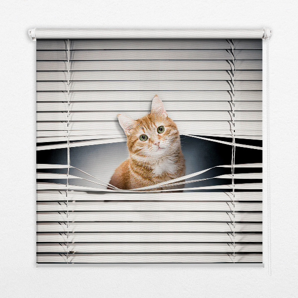 Roller blind for large window Ginger cat