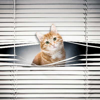 Roller blind for large window Ginger cat