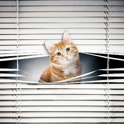 Roller blind for large window Ginger cat