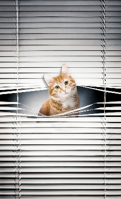 Roller blind for large window Ginger cat