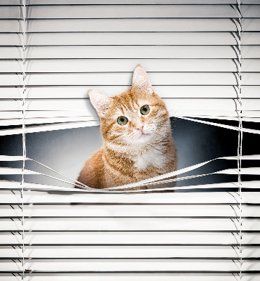 Roller blind for large window Ginger cat