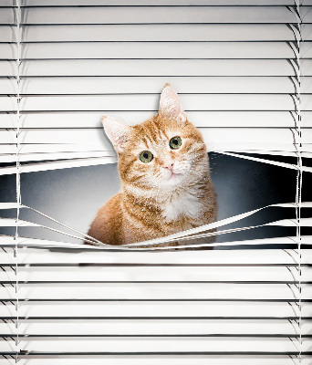 Roller blind for large window Ginger cat