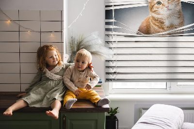 Roller blind for large window Ginger cat