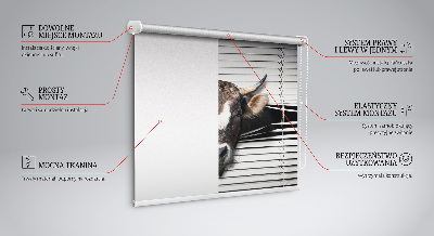 Fabric roller blind Cow