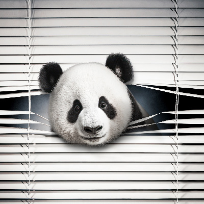 Modern roller blind Panda