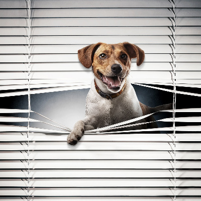 Roller blind for large window Dog
