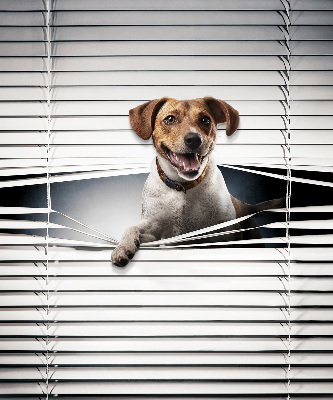 Roller blind for large window Dog