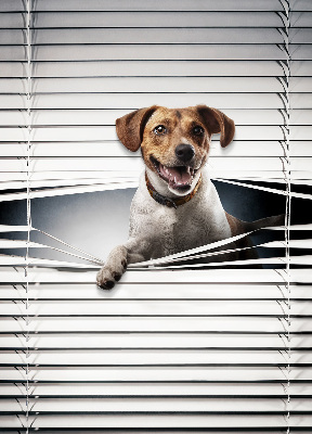 Roller blind for large window Dog