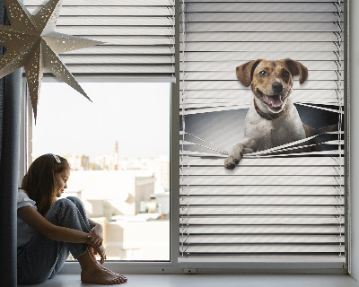Roller blind for large window Dog