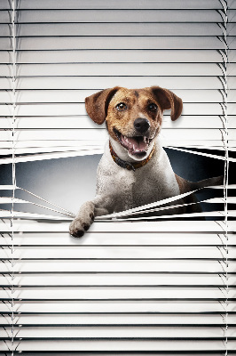 Roller blind for large window Dog