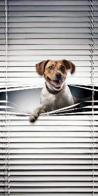 Roller blind for large window Dog
