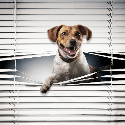 Roller blind for large window Dog