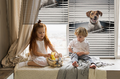 Roller blind for large window Dog