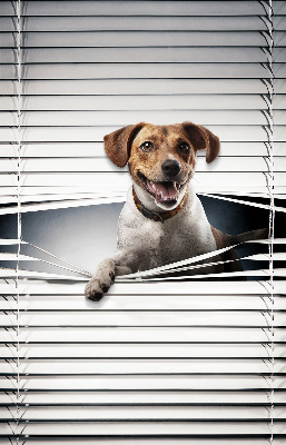 Roller blind for large window Dog