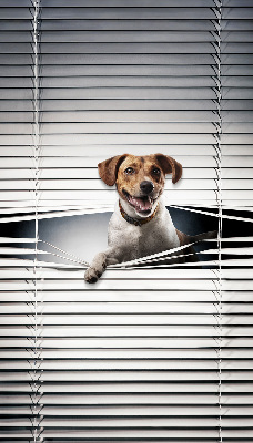 Roller blind for large window Dog