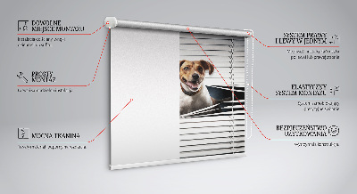 Roller blind for large window Dog