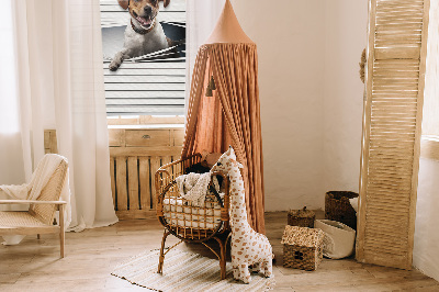 Roller blind for large window Dog