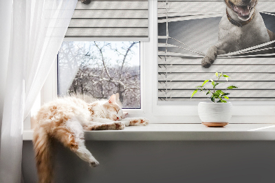 Roller blind for large window Dog