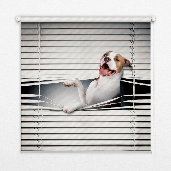Fabric roller blind Dog