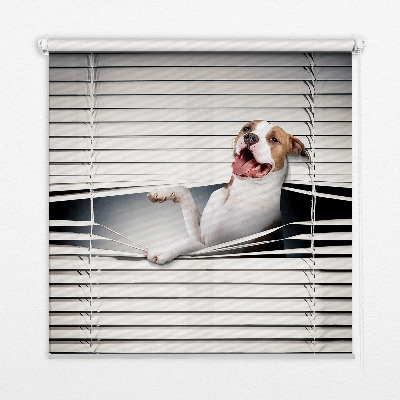 Fabric roller blind Dog