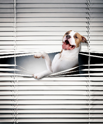 Fabric roller blind Dog