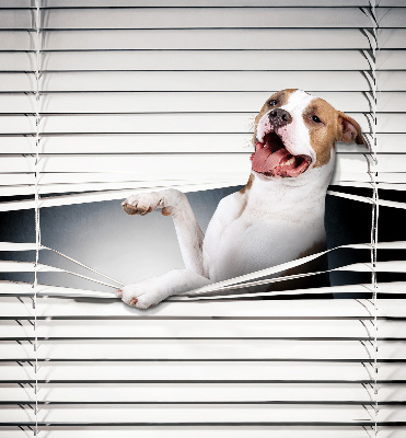 Fabric roller blind Dog