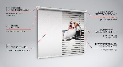 Fabric roller blind Dog