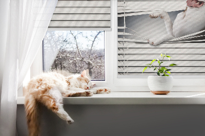 Fabric roller blind Dog