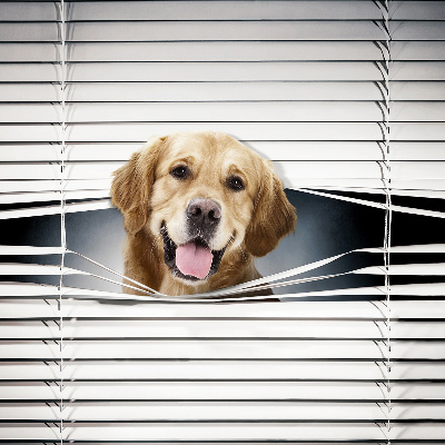 Modern roller blind Golden Dog