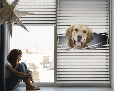 Modern roller blind Golden Dog