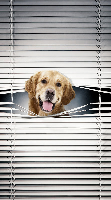 Modern roller blind Golden Dog