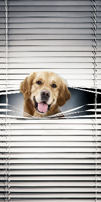 Modern roller blind Golden Dog