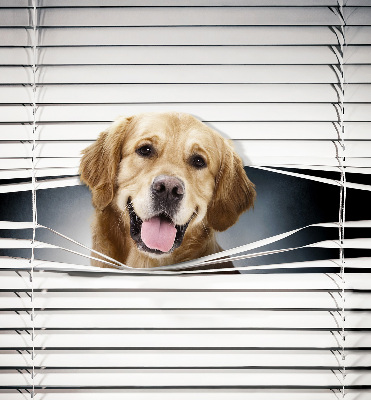 Modern roller blind Golden Dog