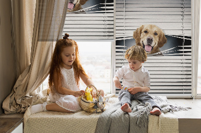 Modern roller blind Golden Dog