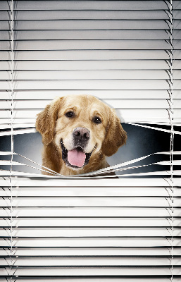 Modern roller blind Golden Dog