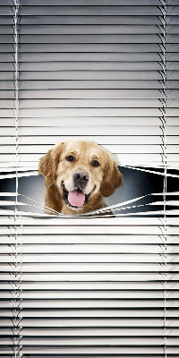 Modern roller blind Golden Dog